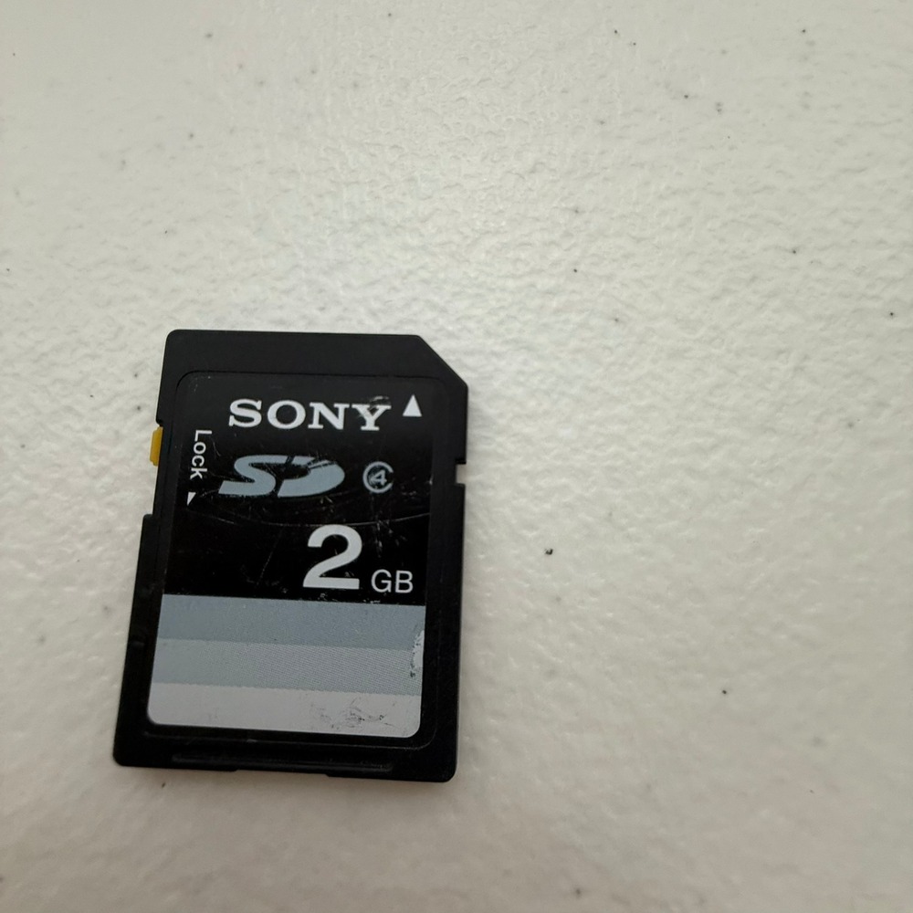 Sony 2GB SD Memory Card Class‎ 4 Secure Digital Flash Memory SF-2N1